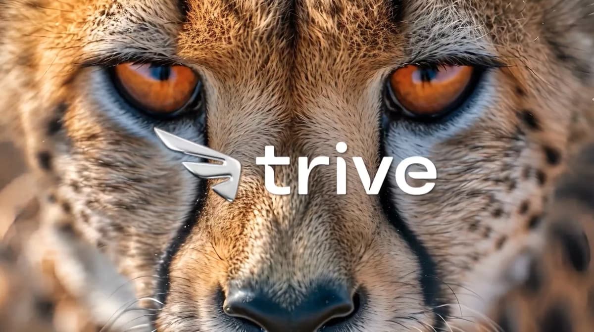 Trive South Africa logo in front of cheetah's face