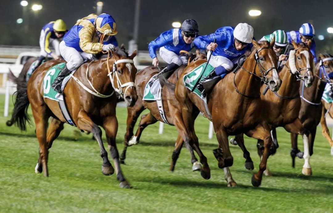 Dubai Racing Club race