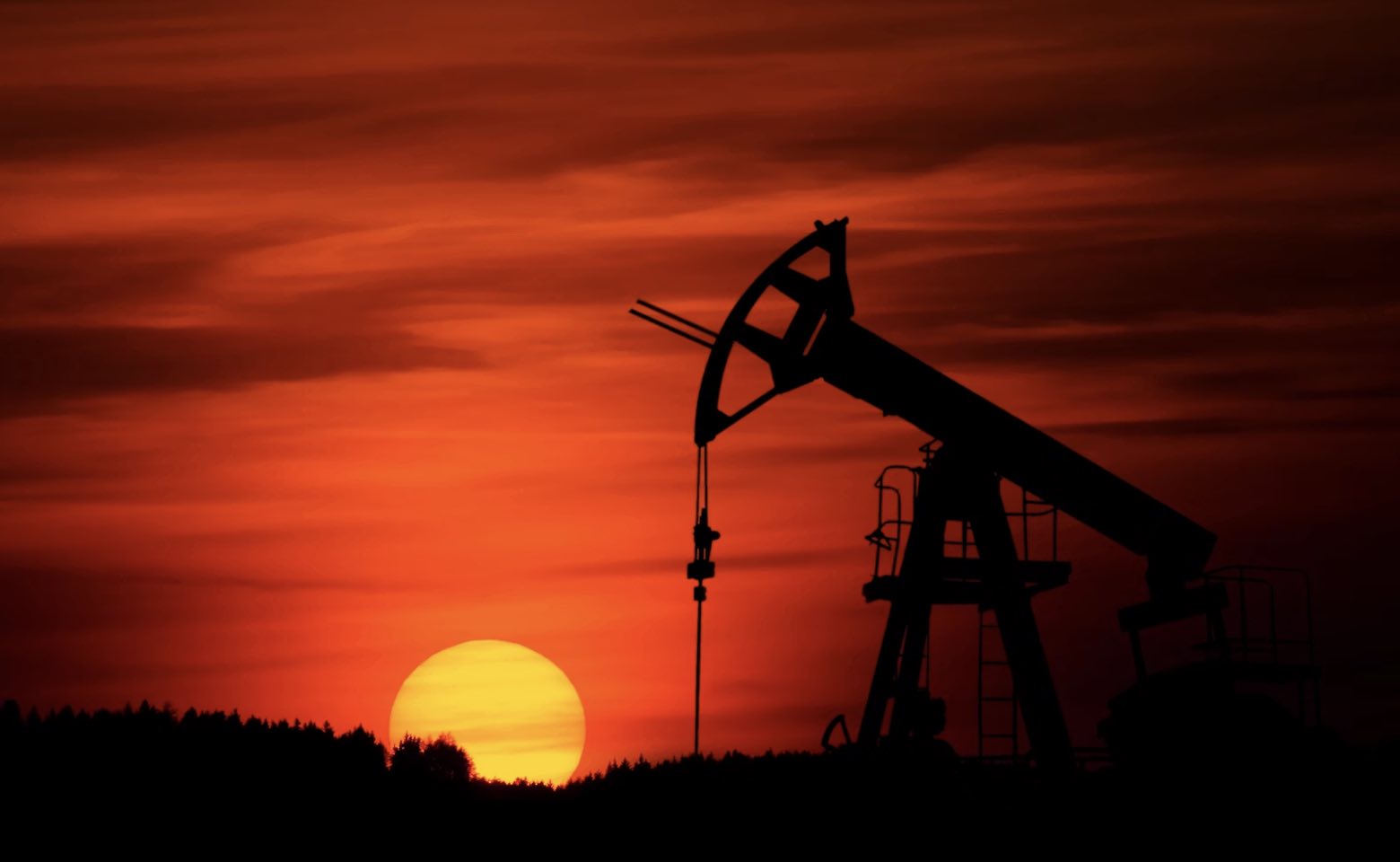 oil