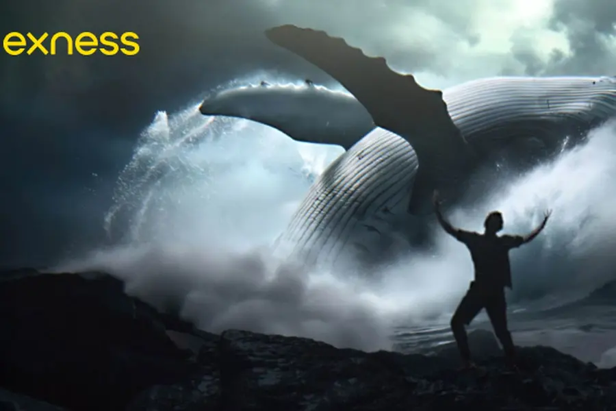 Exness whale advert