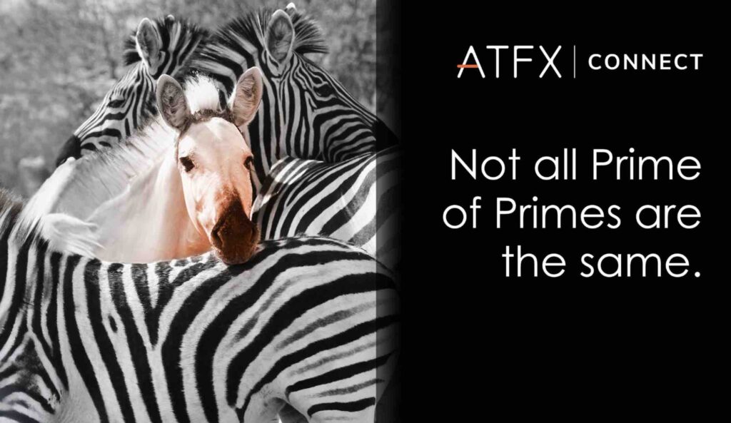 ATFX Connect prime of prime branding