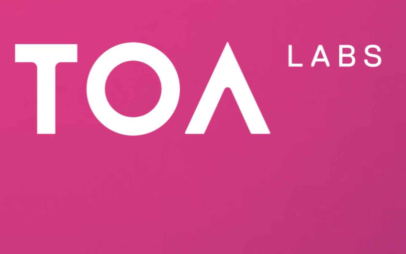 TOA Labs partners with Argamon to offer 24/7 crypto liquidity -  TradeInformer